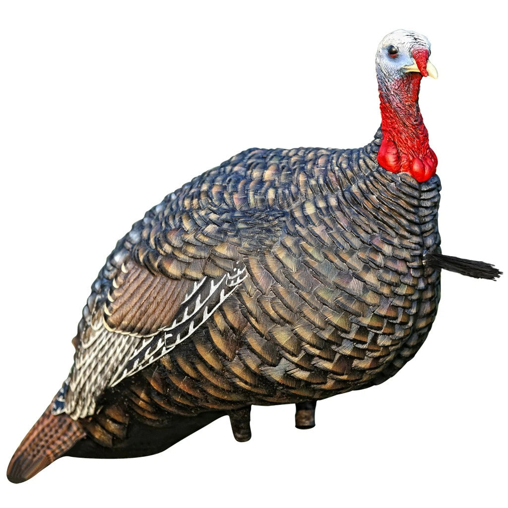 AVIAN-X LCD JAKE QUARTER STRUT DECOY