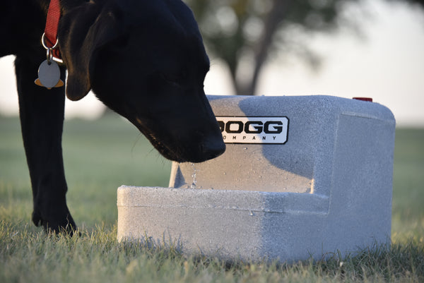 G&H DOGG WATER TANK