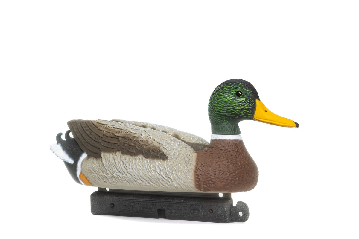 G&H PREMIER MALLARD MAGNUM DRAKE ONLY 6PK 6-DRAKES