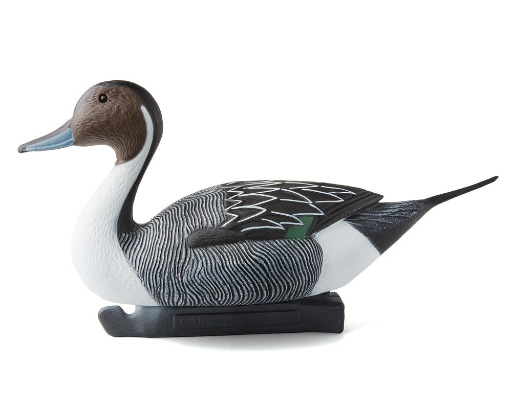 G&H PREMIER PINTAIL SUPER-MAG DRAKE ONLY 6PK 6-DRAKES