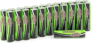 INTERSTATE BATTERIES WORKAHOLIC AA 24 PK
