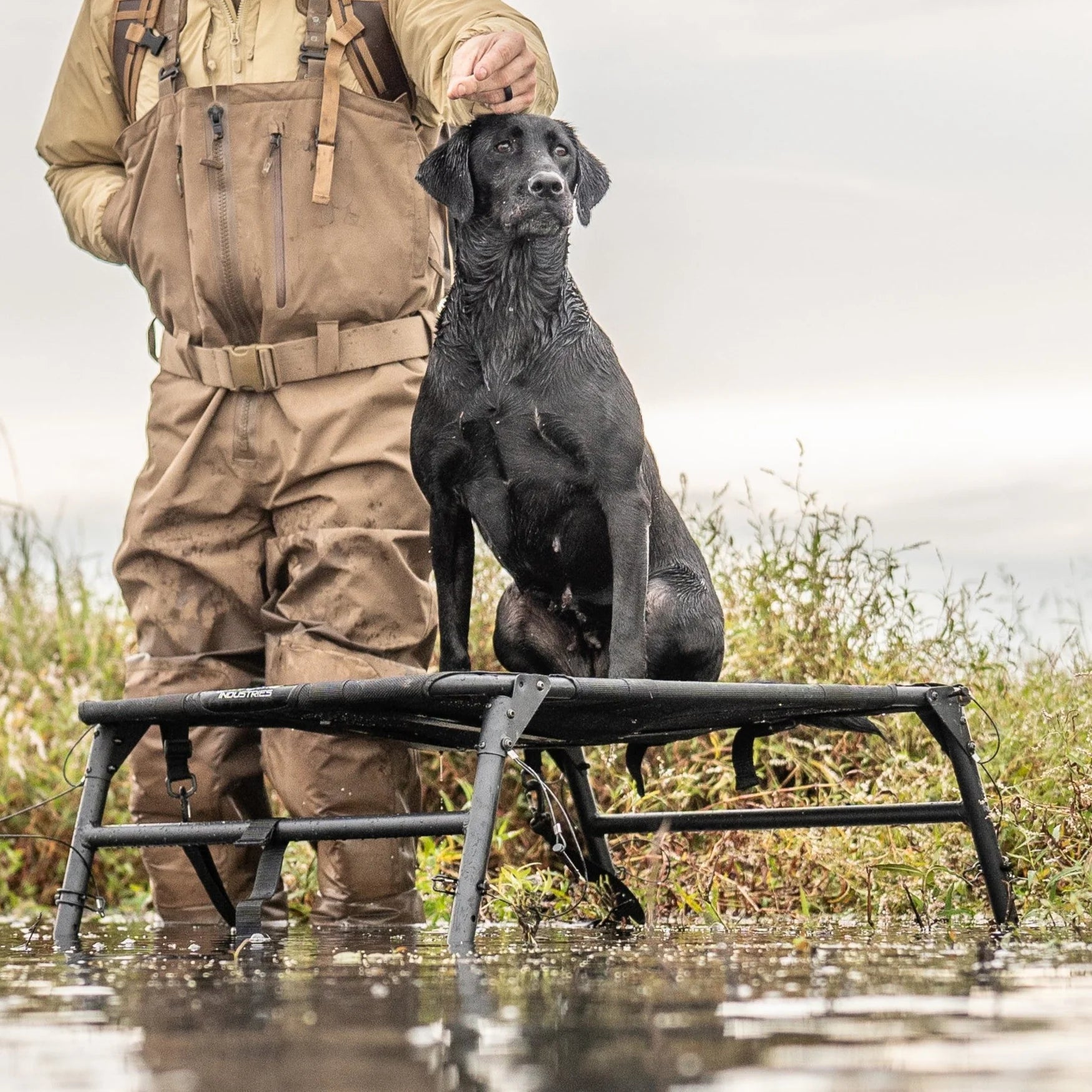 DIVE BOMB HUNTING DOG STAND