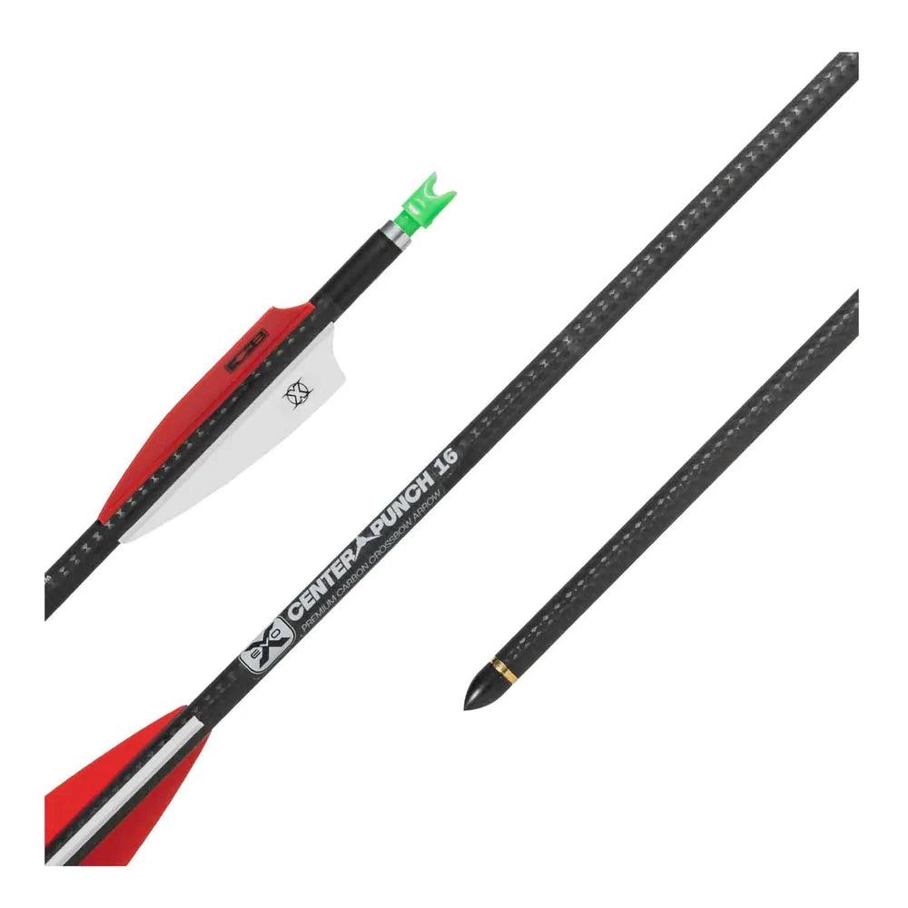 TEN POINT EVO-X 16 LIGHTED 3PK EVO-X 16 BOLT W/ALPHA-NOCK .001 STRAIGHTNESS SOLD