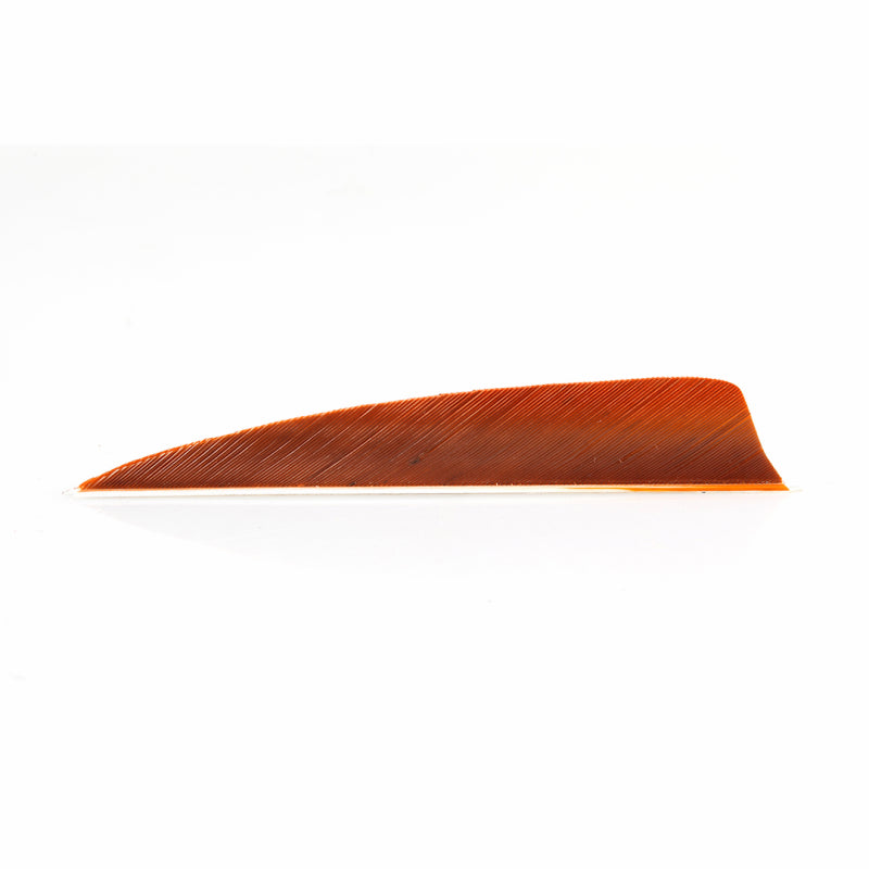 TRUFLIGHT FEATHERS 5 RW SHIELD BROWN