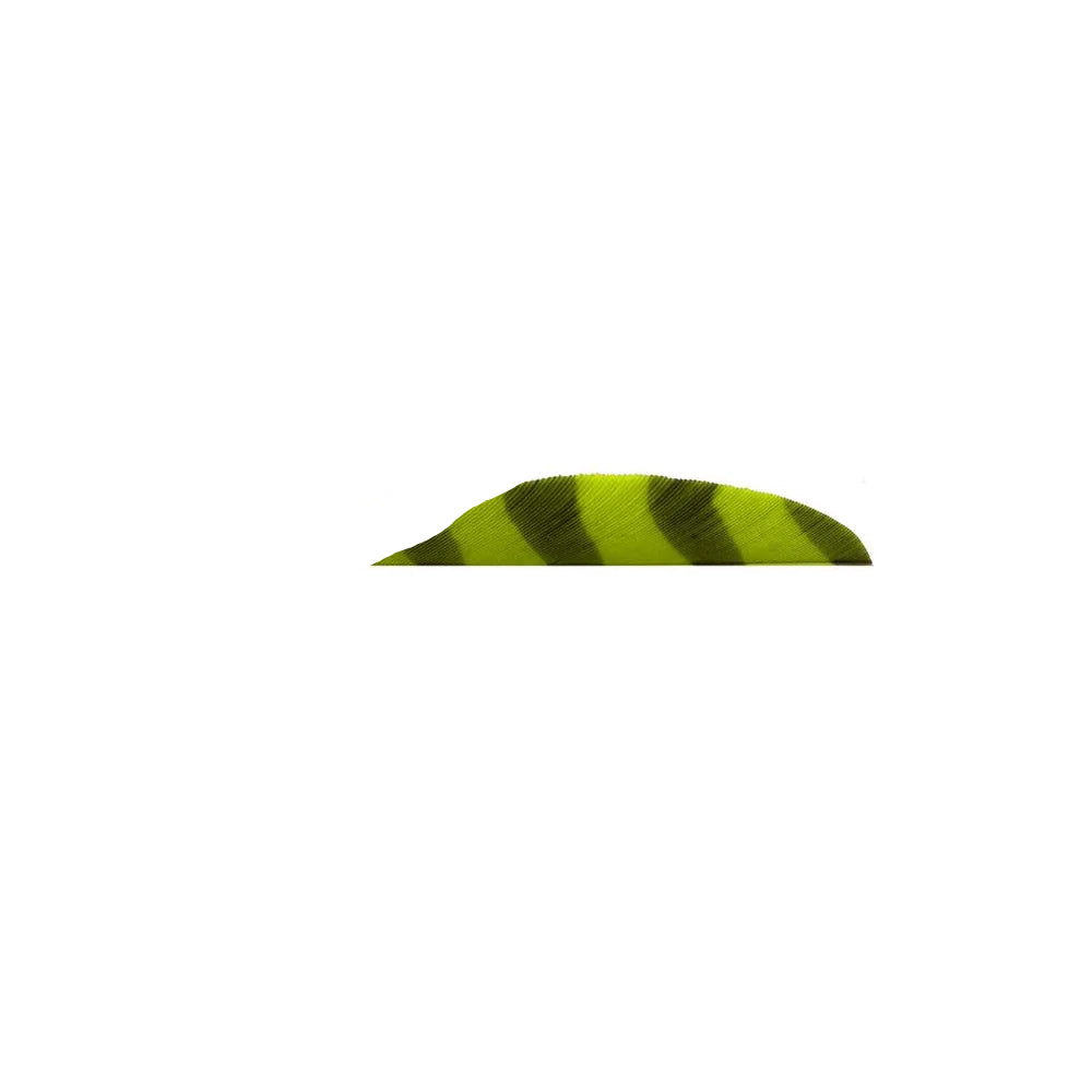 TRUFLIGHT FEATHERS 3 RW ROUND CHARTREUSE