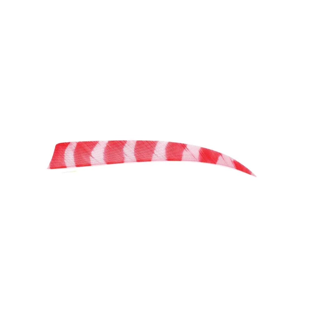 TRUFLIGHT FEATHERS 5 RW SHIELD BARRED RED