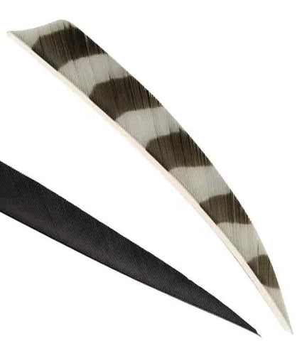 TRUFLIGHT FEATHERS 5 RW SHIELD BARRED