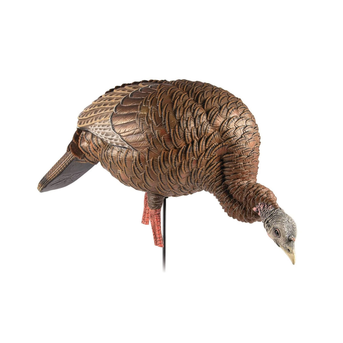 AVIAN-X HDR FEEDING HEN DECOY
