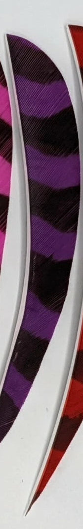 TRUFLIGHT FEATHERS 4 RW ROUND BARRED PURPLE