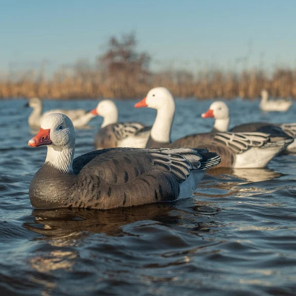 DIVE BOMB V2 SPECKLEBELLY GOOSE SILHOUETTES
