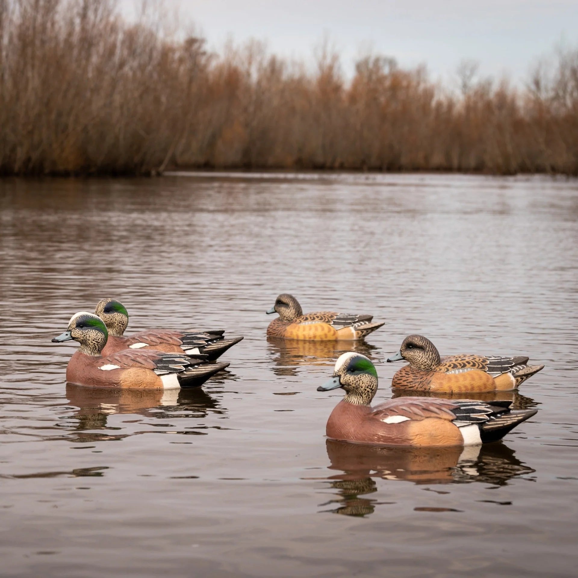 DIVE BOMB WIGEON DECOYS FLOATERS 6PK