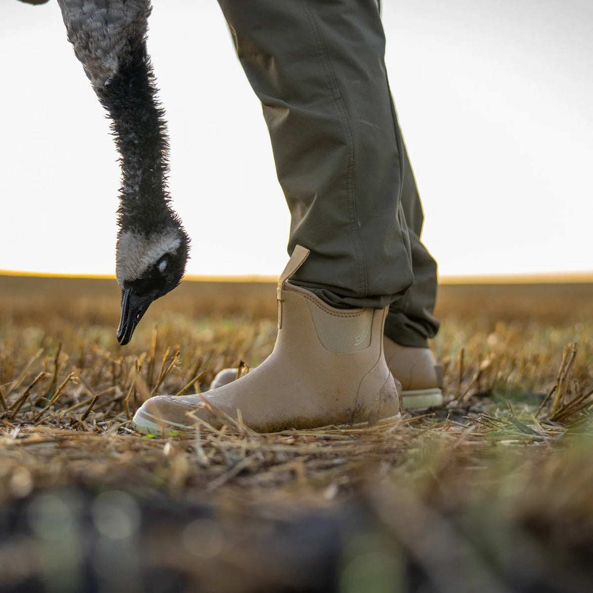 DIVE BOMB TRUDGE BOOT BROWN 12