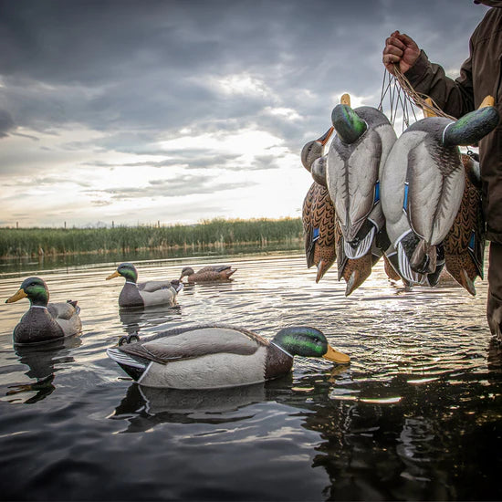 DIVE BOMB MALLARD FLOAT DECOYS 12PK