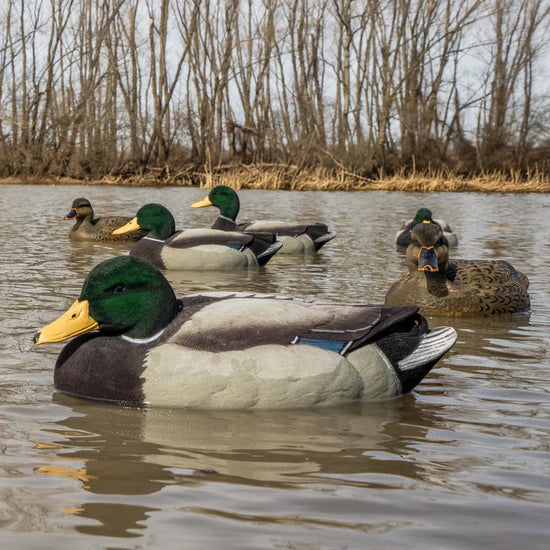 DIVE BOMB FULLY FLOCKED MALL FLOAT DECOYS 12PK