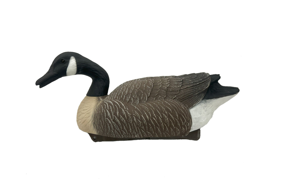G&H PREMIER CANADA FLOATER 6PK SEXES ALIKE