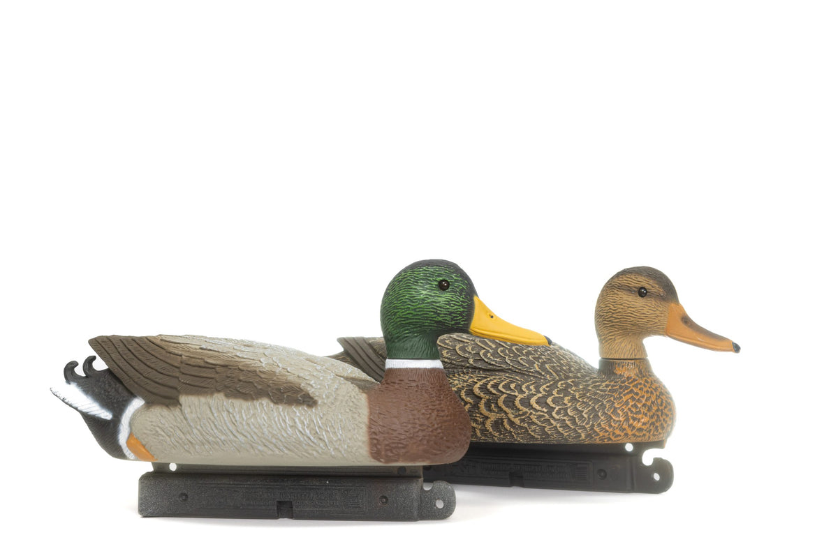 G&H PREMIER MALLARD MAGNUM 12PK 8-DRAKES 4-HENS