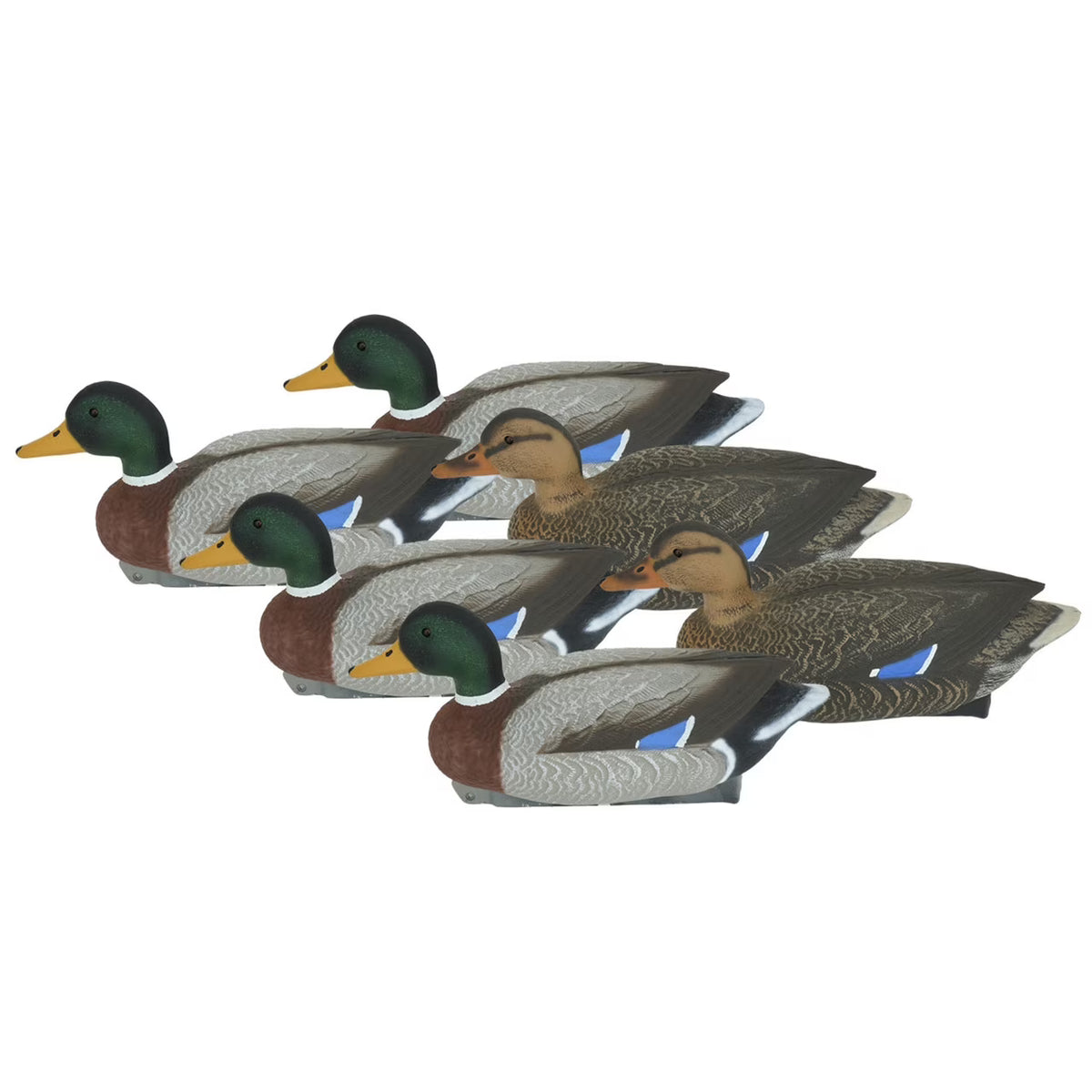G&H PREMIER MALLARD SUPER MAG-STAT HEAD 6PK 4-DRAKES 2-HENS