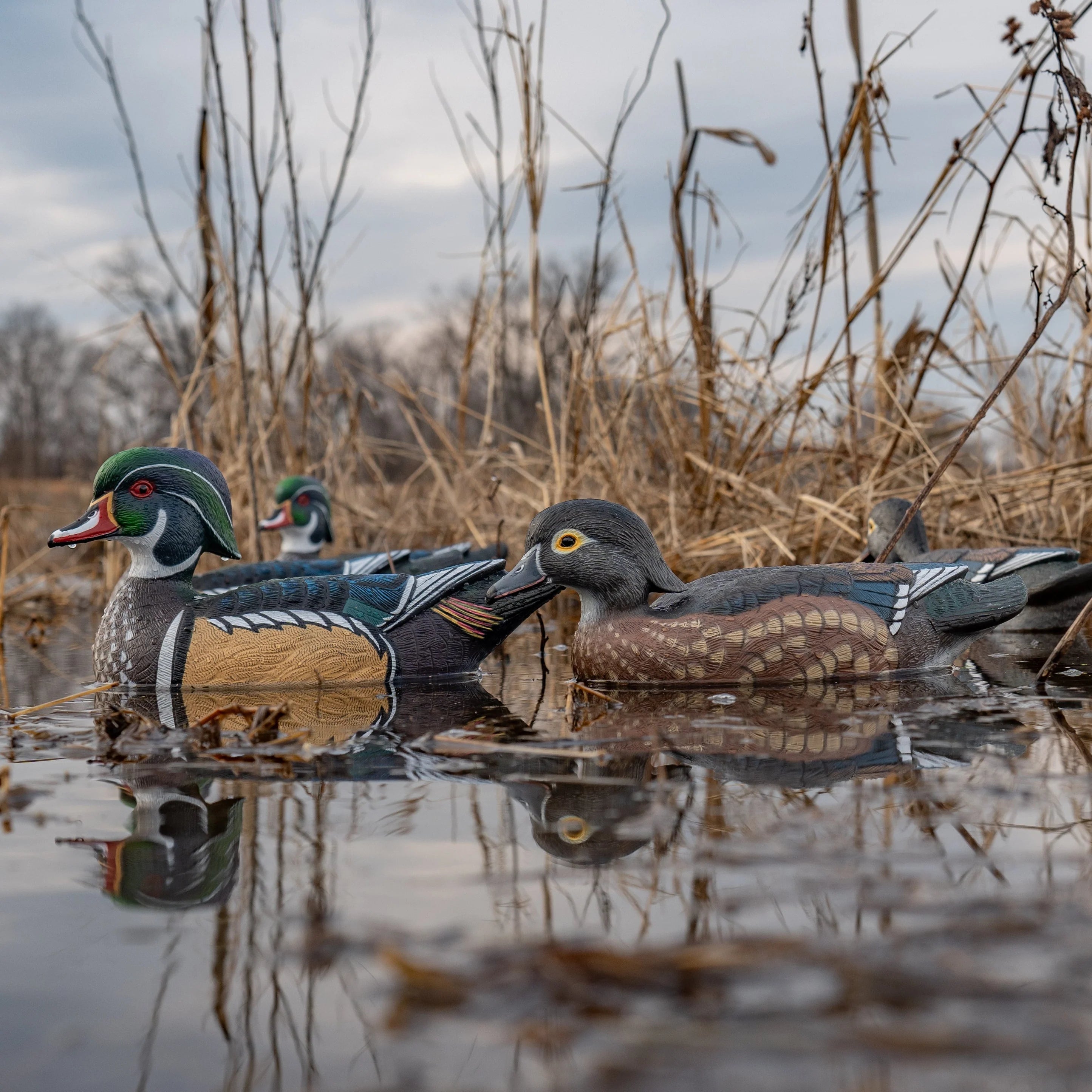 DIVE BOMB WOOD DUCK DECOYS FLOATERS 6PK