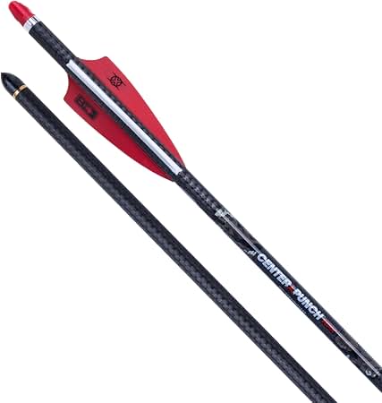TEN POINT CENTERPUNCH HPX 20in ALPHA NOCK 6PK