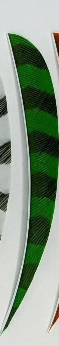 TRUFLIGHT FEATHERS 5 RW ROUND BARRED GREEN