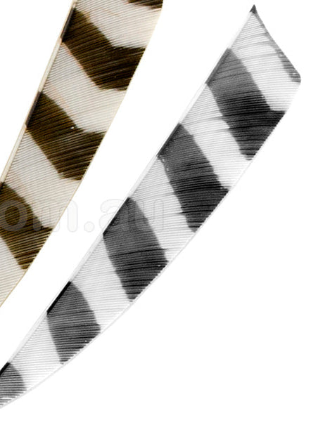 TRUFLIGHT FEATHERS 5 RW SHIELD BARRED GREY